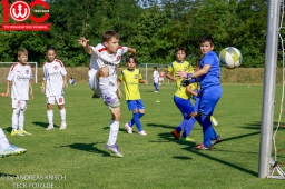 Rewe Seper Cup 2026 der E-Junioren