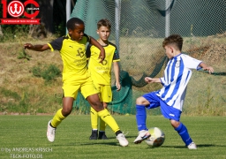 Rewe Seper Cup 2026 der E-Junioren