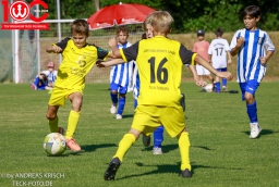 Rewe Seper Cup 2026 der E-Junioren