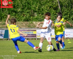 Rewe Seper Cup 2026 der E-Junioren