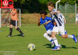 Rewe Seper Cup 2026 der E-Junioren