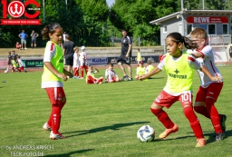 Rewe Seper Cup 2026 der F-Junioren (11.7.2026)