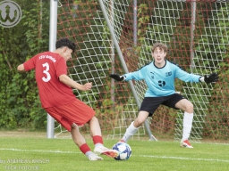 TSV Weilheim vs SG Plieningen-Birkach (12.7.2025)