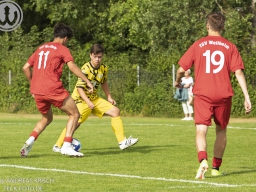 TSV Weilheim vs SG Plieningen-Birkach (12.7.2025)
