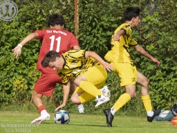 TSV Weilheim vs SG Plieningen-Birkach (12.7.2025)